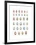 Egg Collection-Sandra Jacobs-Framed Giclee Print