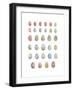 Egg Collection-Sandra Jacobs-Framed Giclee Print