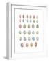 Egg Collection-Sandra Jacobs-Framed Giclee Print