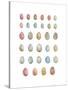 Egg Collection-Sandra Jacobs-Stretched Canvas