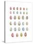 Egg Collection-Sandra Jacobs-Stretched Canvas