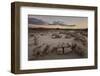 Egg Factory at dawn, Bisti Wilderness, New Mexico, United States of America, North America-James Hager-Framed Photographic Print