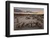 Egg Factory at dawn, Bisti Wilderness, New Mexico, United States of America, North America-James Hager-Framed Photographic Print