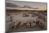 Egg Factory at dawn, Bisti Wilderness, New Mexico, United States of America, North America-James Hager-Mounted Photographic Print