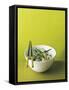 Egg Fried Rice with Spring Onions and Peas (Asia) - Conde Nast Collection-null-Framed Stretched Canvas