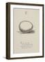 Egg Illustrations and Verses From Nonsense Alphabets Drawn and Written by Edward Lear.-Edward Lear-Framed Giclee Print