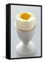 Egg in Egg Cup-Eising Studio - Food Photo and Video-Framed Stretched Canvas