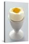 Egg in Egg Cup-Eising Studio - Food Photo and Video-Stretched Canvas