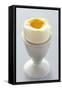 Egg in Egg Cup-Eising Studio - Food Photo and Video-Framed Stretched Canvas