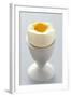 Egg in Egg Cup-Eising Studio - Food Photo and Video-Framed Photographic Print