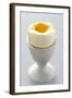 Egg in Egg Cup-Eising Studio - Food Photo and Video-Framed Photographic Print