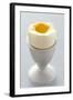 Egg in Egg Cup-Eising Studio - Food Photo and Video-Framed Photographic Print