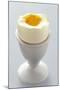 Egg in Egg Cup-Eising Studio - Food Photo and Video-Mounted Photographic Print