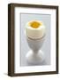 Egg in Egg Cup-Eising Studio - Food Photo and Video-Framed Photographic Print