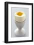 Egg in Egg Cup-Eising Studio - Food Photo and Video-Framed Photographic Print