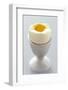 Egg in Egg Cup-Eising Studio - Food Photo and Video-Framed Photographic Print