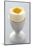 Egg in Egg Cup-Eising Studio - Food Photo and Video-Mounted Photographic Print