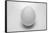 Egg-John Gusky-Framed Stretched Canvas