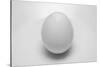 Egg-John Gusky-Stretched Canvas