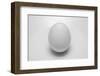 Egg-John Gusky-Framed Photographic Print