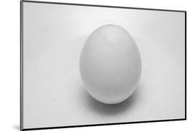 Egg-John Gusky-Mounted Photographic Print