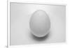 Egg-John Gusky-Framed Photographic Print