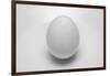 Egg-John Gusky-Framed Photographic Print