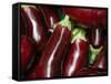 Eggplant For Sale at Market, Bellinzona, Switzerland-Lisa S. Engelbrecht-Framed Stretched Canvas