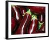 Eggplant For Sale at Market, Bellinzona, Switzerland-Lisa S. Engelbrecht-Framed Photographic Print