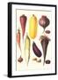 Eggplant, Nuts, and Tubers-Philippe-Victoire Leveque de Vilmorin-Framed Art Print