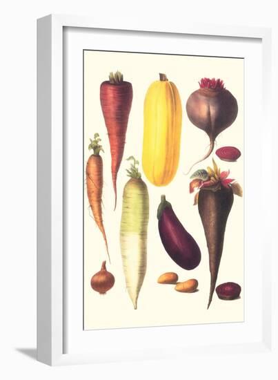 Eggplant, Nuts, and Tubers-Philippe-Victoire Leveque de Vilmorin-Framed Art Print