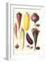 Eggplant, Nuts, and Tubers-Philippe-Victoire Leveque de Vilmorin-Framed Art Print