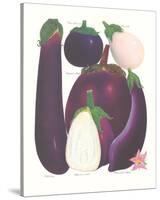 Eggplant-null-Stretched Canvas