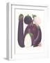 Eggplant-null-Framed Art Print