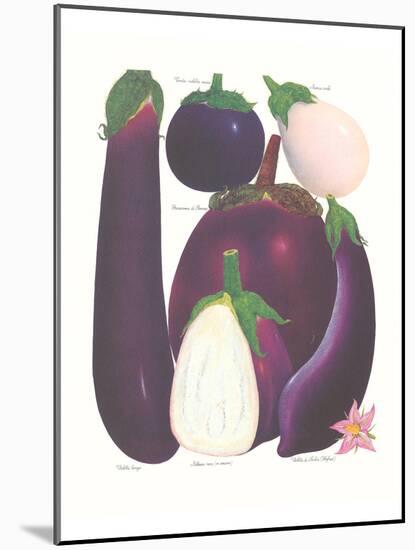 Eggplant-null-Mounted Art Print
