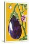 Eggplant-Lantern Press-Stretched Canvas