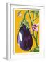 Eggplant-Lantern Press-Framed Art Print