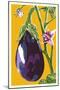 Eggplant-Lantern Press-Mounted Art Print