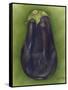 Eggplant-Jennifer Goldberger-Framed Stretched Canvas