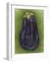 Eggplant-Jennifer Goldberger-Framed Art Print