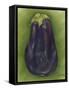 Eggplant-Jennifer Goldberger-Framed Stretched Canvas