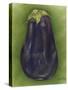 Eggplant-Jennifer Goldberger-Stretched Canvas