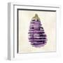 Eggplant-Kristin Emery-Framed Art Print