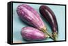 Eggplants-nancykennedy-Framed Stretched Canvas