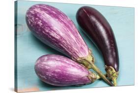 Eggplants-nancykennedy-Stretched Canvas