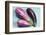 Eggplants-nancykennedy-Framed Photographic Print