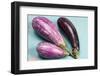 Eggplants-nancykennedy-Framed Photographic Print