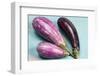 Eggplants-nancykennedy-Framed Photographic Print