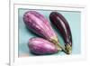 Eggplants-nancykennedy-Framed Photographic Print