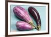 Eggplants-nancykennedy-Framed Photographic Print